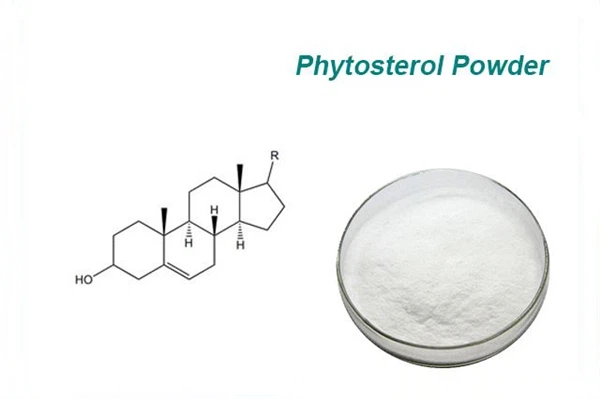 Phytosterol powder Phytosterol powder